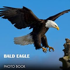 Bald eagle picture for sale  Delivered anywhere in USA 