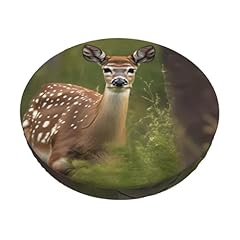 Berbo whitetail deer for sale  Delivered anywhere in UK