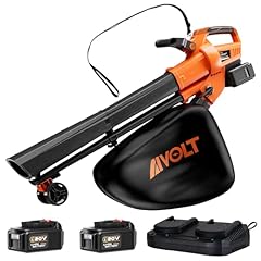 Aivolt cordless leaf for sale  Delivered anywhere in USA 