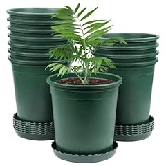 Mhonniwa gallon nursery for sale  Delivered anywhere in USA 