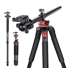 Neewer inch camera for sale  Delivered anywhere in USA 