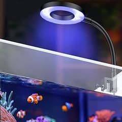 Pawfly saltwater aquarium for sale  Delivered anywhere in UK