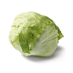Insalata iceberg 500 usato  Spedito ovunque in Italia 