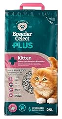 Breeder celect kitten for sale  Delivered anywhere in UK