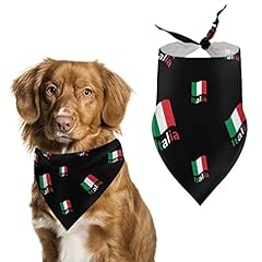 Italia italia italia usato  Spedito ovunque in Italia 