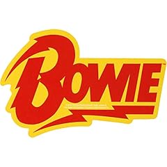 Visionary david bowie for sale  Delivered anywhere in USA 