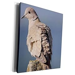 Museum grade canvas for sale  Delivered anywhere in USA 