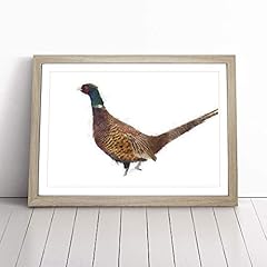 Pheasant bird winter for sale  Delivered anywhere in UK
