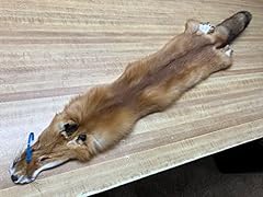 Tanned red fox for sale  Delivered anywhere in USA 