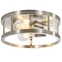 Sewterolyn brushed nickel for sale  Delivered anywhere in USA 