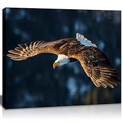 Qtespeii eagle canvas for sale  Delivered anywhere in USA 