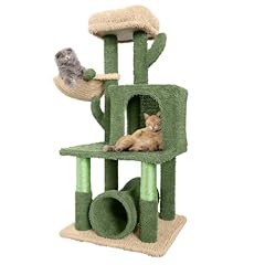 Caphaus cactus cat for sale  Delivered anywhere in USA 
