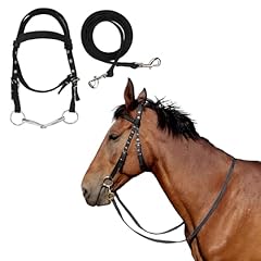 Briglia cavallo con usato  Spedito ovunque in Italia 