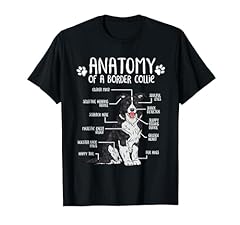 Funny anatomy border for sale  Delivered anywhere in USA 
