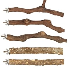 Natural wood parrot for sale  Delivered anywhere in UK