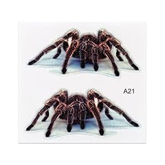 Aufkleber doppel vogelspinne gebraucht kaufen  Wird an jeden Ort in Deutschland