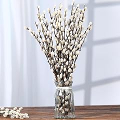 Natural preserved dried for sale  Delivered anywhere in USA 