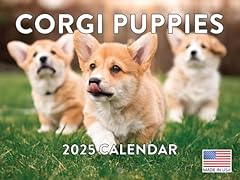 Corgi puppy calendar for sale  Delivered anywhere in USA 