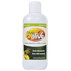 Hive alive bee for sale  Delivered anywhere in USA 