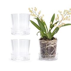 Phoenix vine 3.5 for sale  Delivered anywhere in USA 