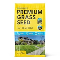Barenbrug turf blue for sale  Delivered anywhere in USA 