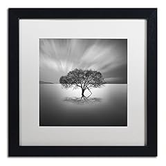 Framed wall art for sale  Delivered anywhere in USA 