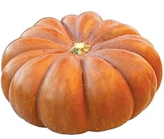 Cinderella carriage pumpkin for sale  Delivered anywhere in USA 