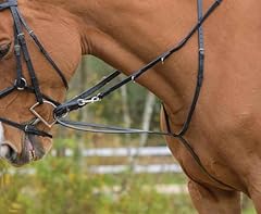 Avignon german martingale for sale  Delivered anywhere in USA 