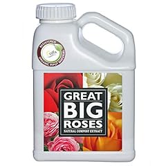 Great big roses for sale  Delivered anywhere in USA 