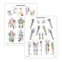 Pack trigger points for sale  Delivered anywhere in USA 