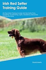 Irish red setter for sale  Delivered anywhere in UK