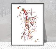 Angiography wall art for sale  Delivered anywhere in USA 