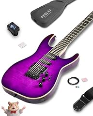 Fesley solid body for sale  Delivered anywhere in USA 
