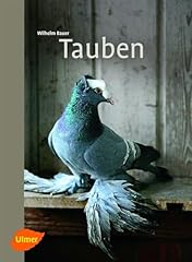 Tauben gebraucht kaufen  Wird an jeden Ort in Deutschland