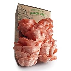 Kit culture champignons d'occasion  Livré partout en Belgiqu