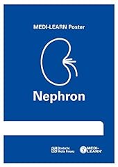 Nephron poster medi gebraucht kaufen  Wird an jeden Ort in Deutschland