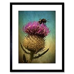 9x7 photo bumble for sale  Delivered anywhere in USA 