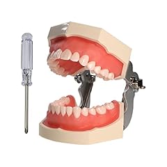 Anseven 1pc standard for sale  Delivered anywhere in USA 