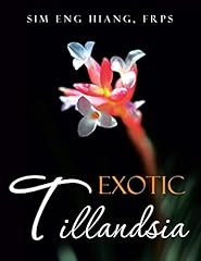 Exotic tillandsia d'occasion  Livré partout en France