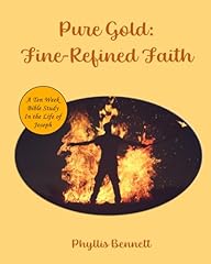 Pure gold fire d'occasion  Livré partout en France