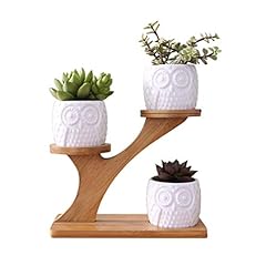 Kiss ceramic planter for sale  Delivered anywhere in UK