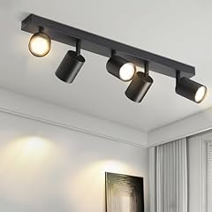 Lichtmaler led deckenstrahler gebraucht kaufen  Wird an jeden Ort in Deutschland