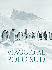 Viaggio polo sud usato  Spedito ovunque in Italia 