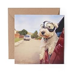 Greeting card west for sale  Delivered anywhere in UK