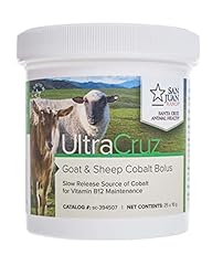 Ultracruz 394507 sheep for sale  Delivered anywhere in USA 