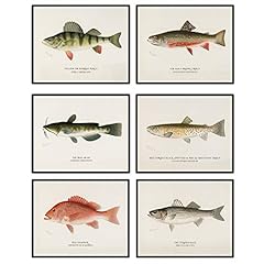 Fish vintage fishing for sale  Delivered anywhere in USA 