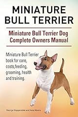 Miniature bull terrier. for sale  Delivered anywhere in USA 