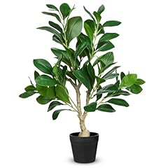 Arborus künstliche pflanzen gebraucht kaufen  Wird an jeden Ort in Deutschland