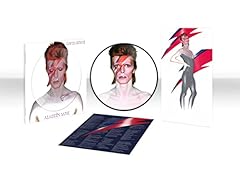 Aladdin sane usato  Spedito ovunque in Italia 