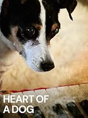 Heart dog usato  Spedito ovunque in Italia 
